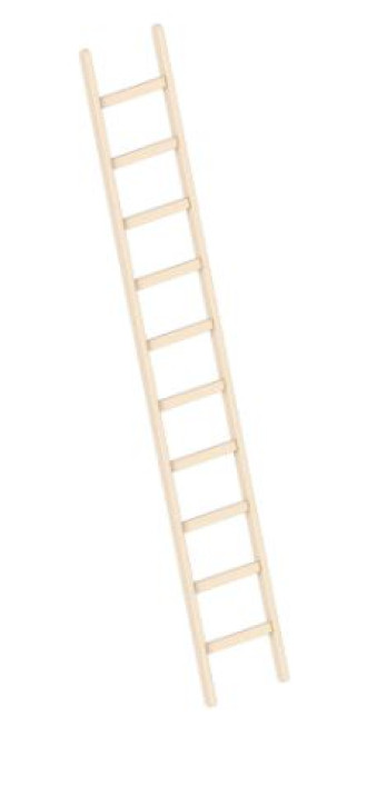 Holz-Anlegeleiter 10 Sprossen 2,99 m mieten