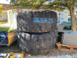 Liebherr 26,5R25 aus L564