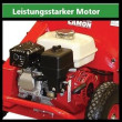 Camon LA25 Rasenlüfter, Drainage Sodenlüfter kaufen